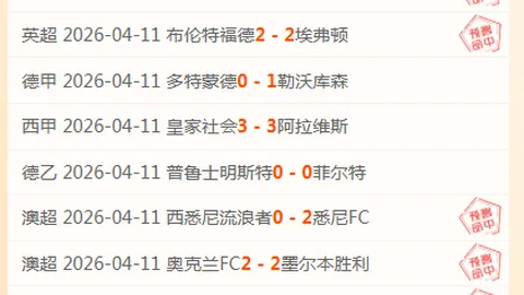 TBC周年庆大乐透期号专家质合分析推荐