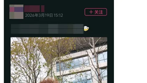巴勒莫主场强，卡坦萨罗平局高招